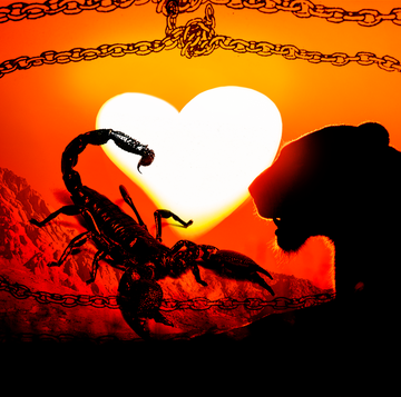 a lion and scorpion fall in love